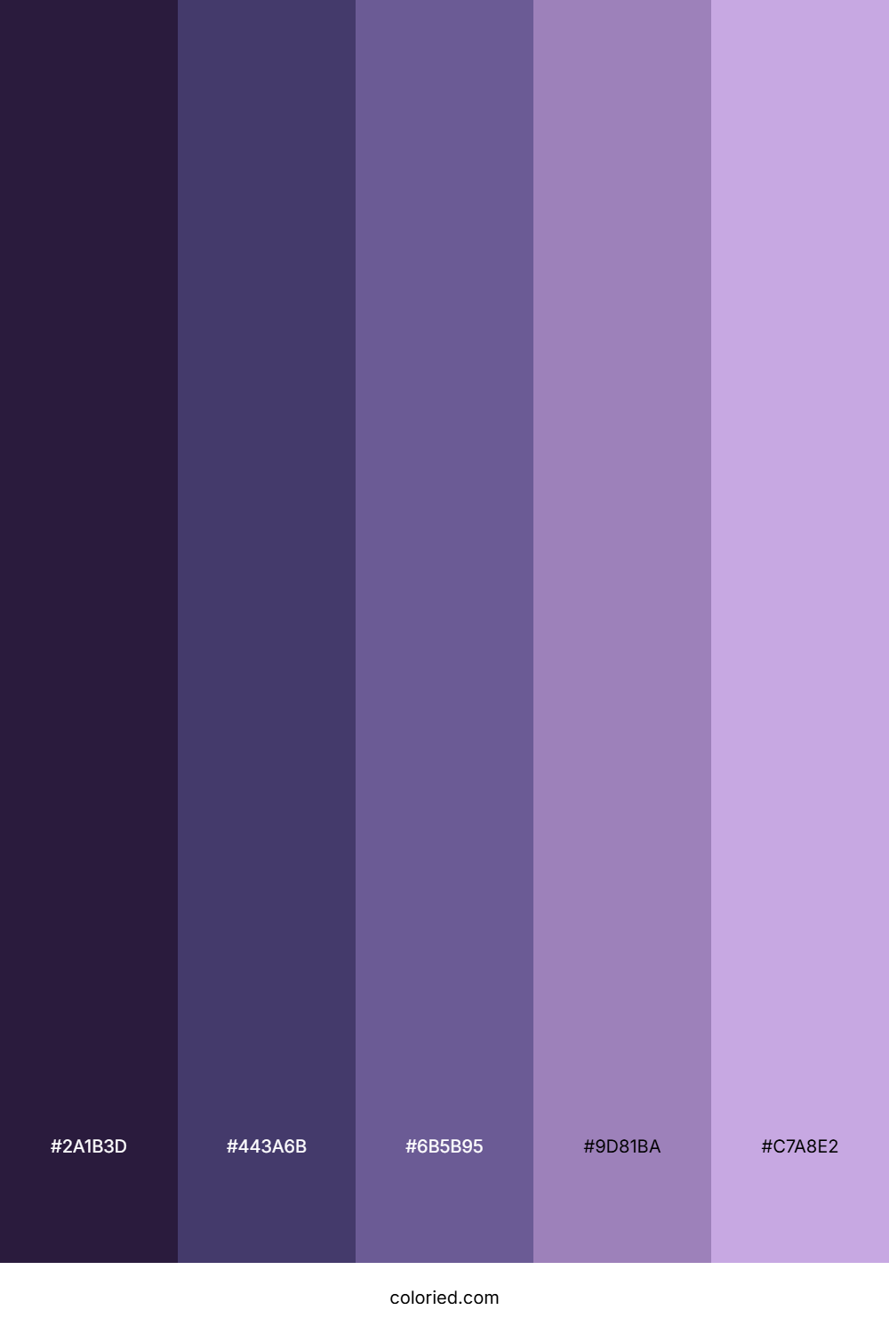 Galaxy Color Palette