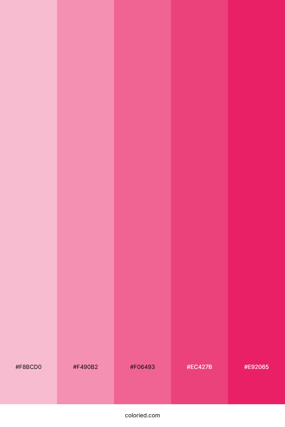 Girly Color Palette