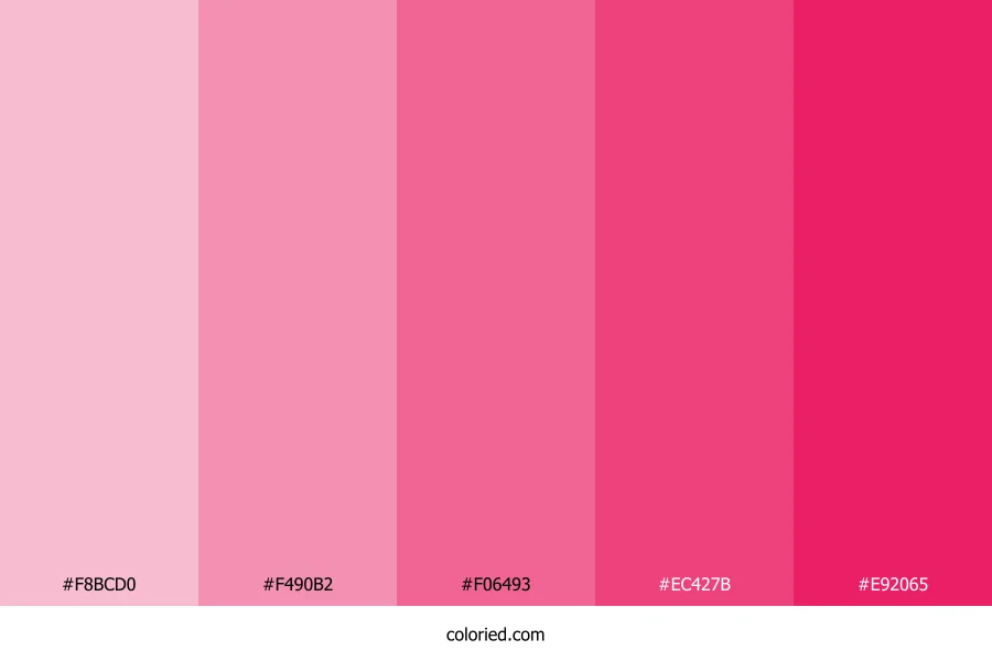 Girly Color Palette