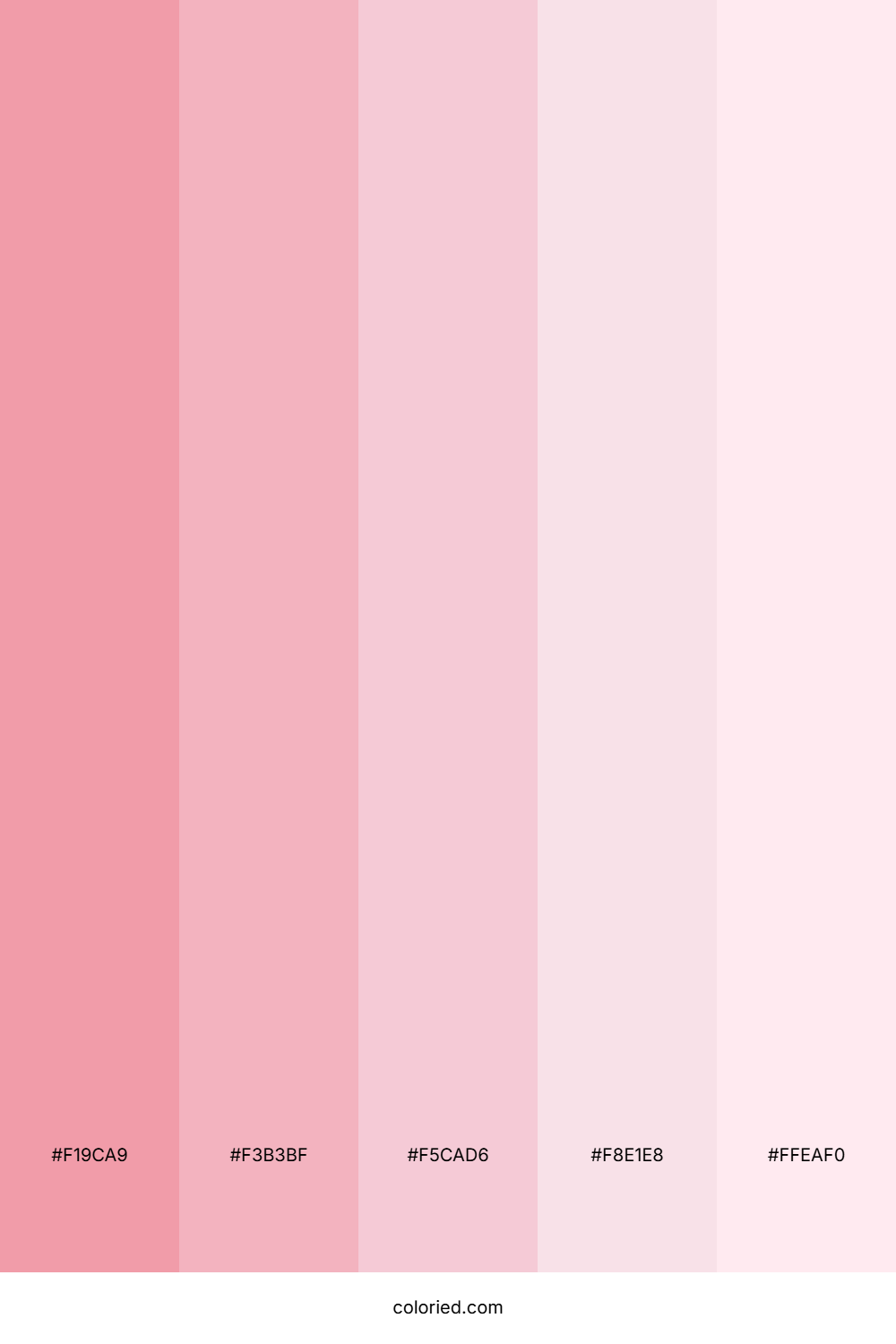 Girly Pinks Color Palette