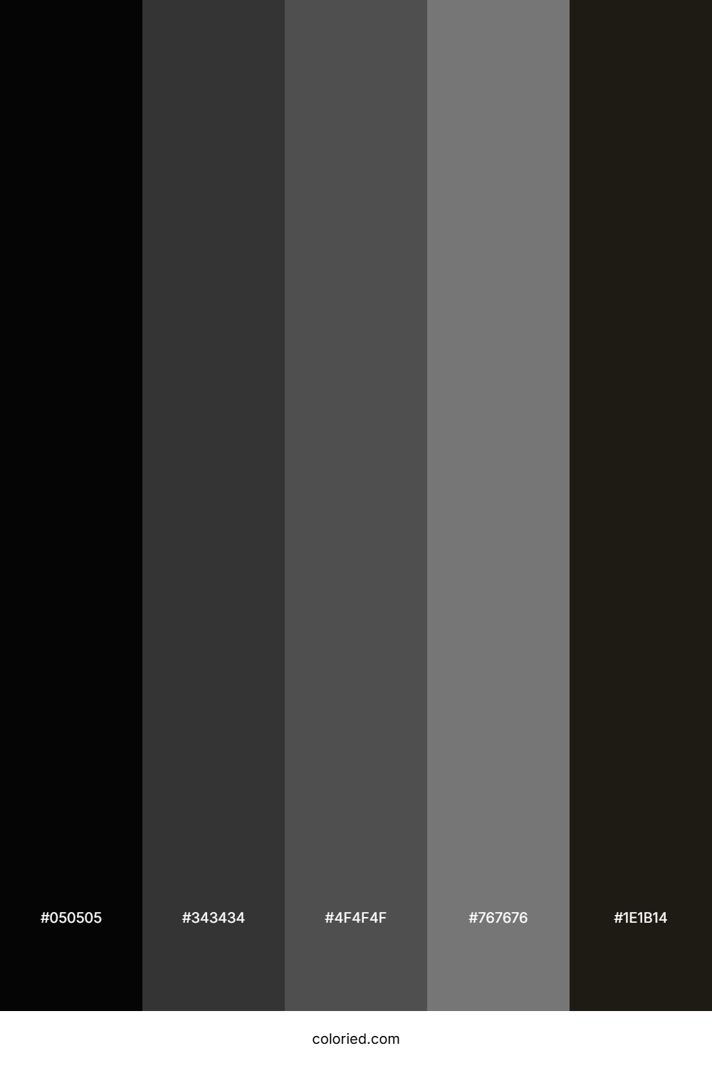 Glossy Black and Charcoal Gray Color Palette