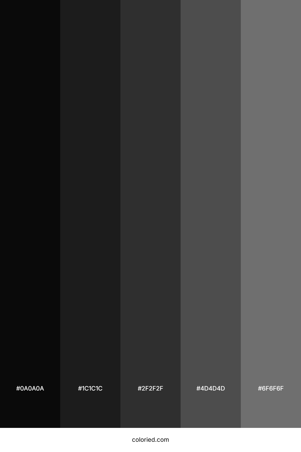 Glossy Black Color Palette