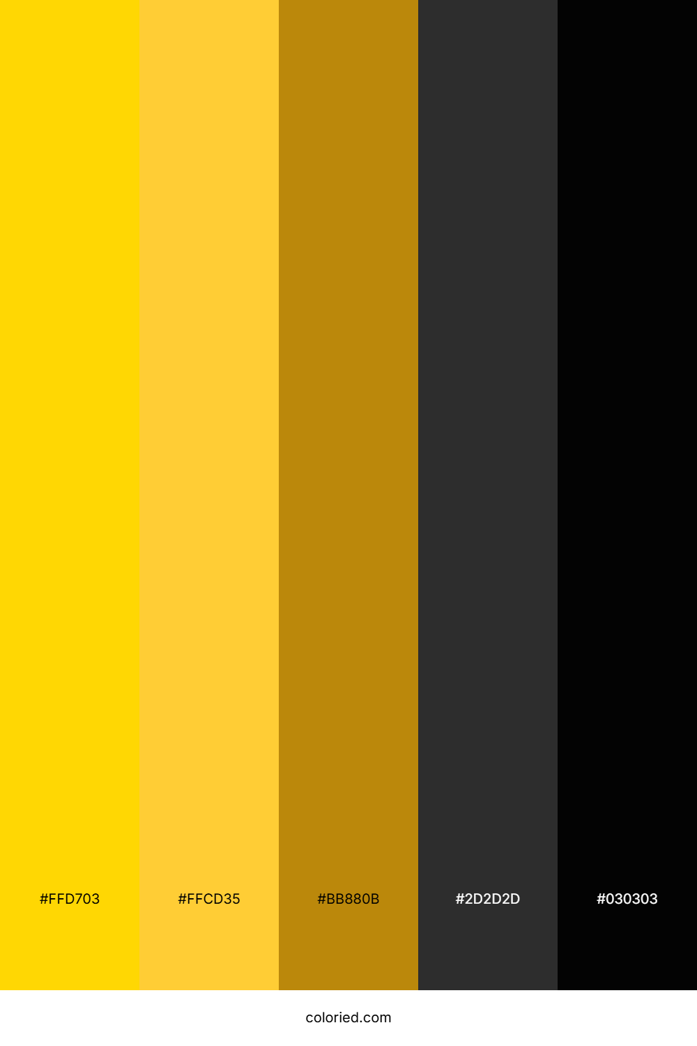 Gold and Black Color Palette