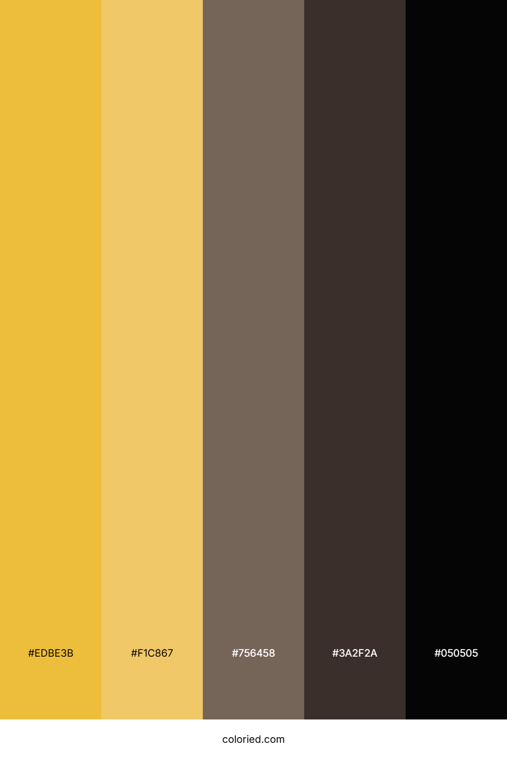 Gold and Dark Brown Color Palette