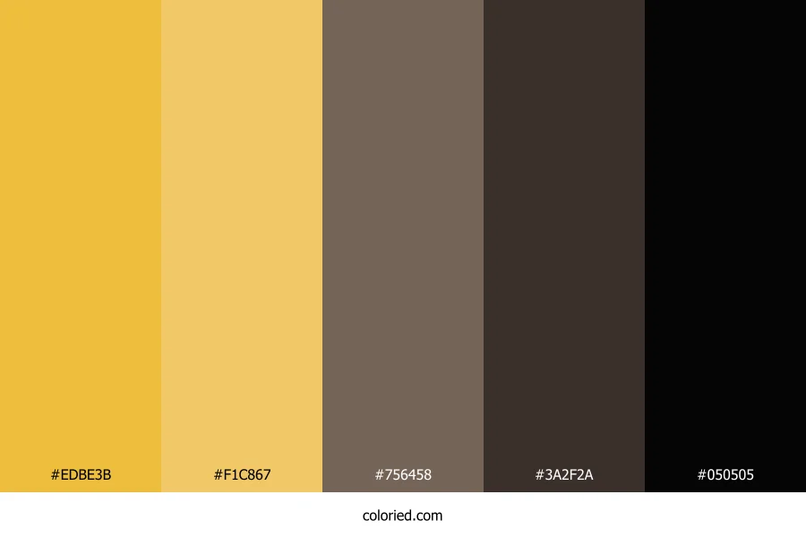 Gold and Dark Brown Color Palette