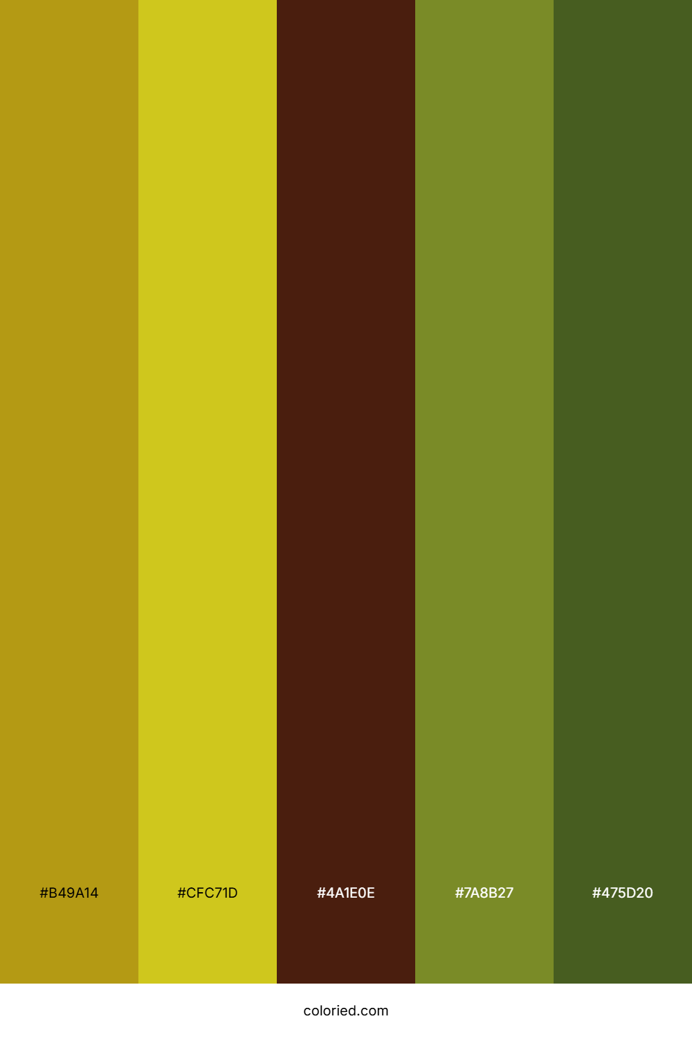 Gold And Forest Color Palette