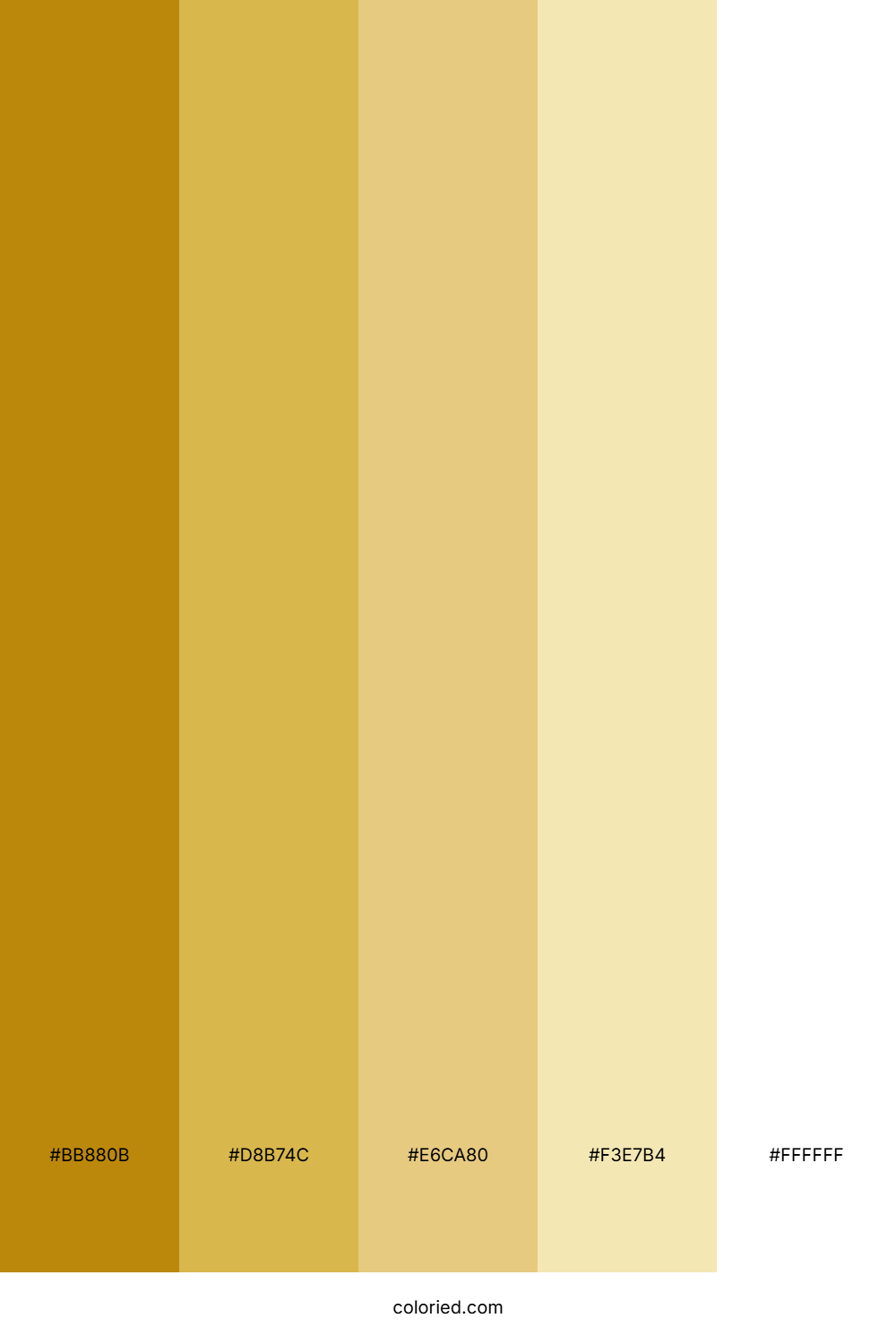 Gold to White Gradient Color Palette