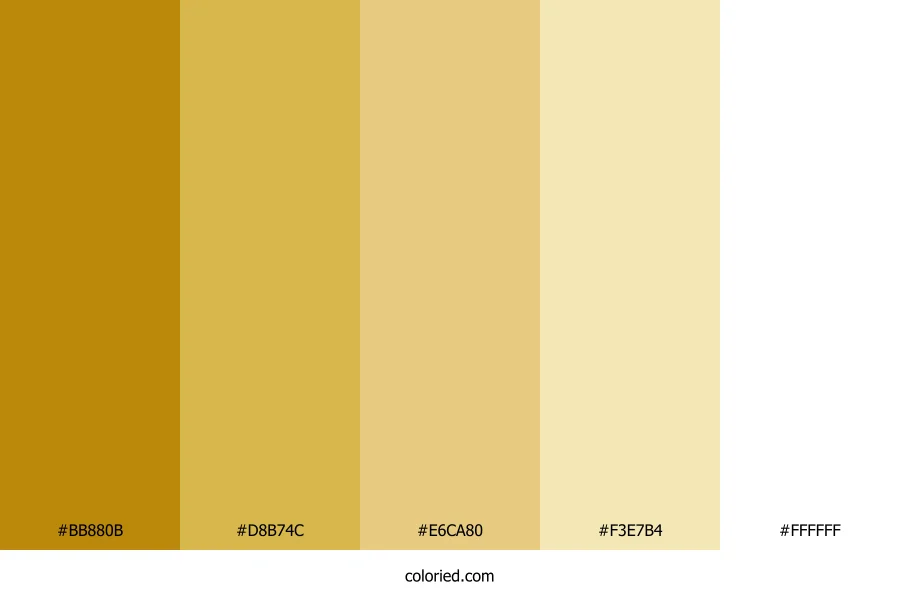 Gold to White Gradient Color Palette