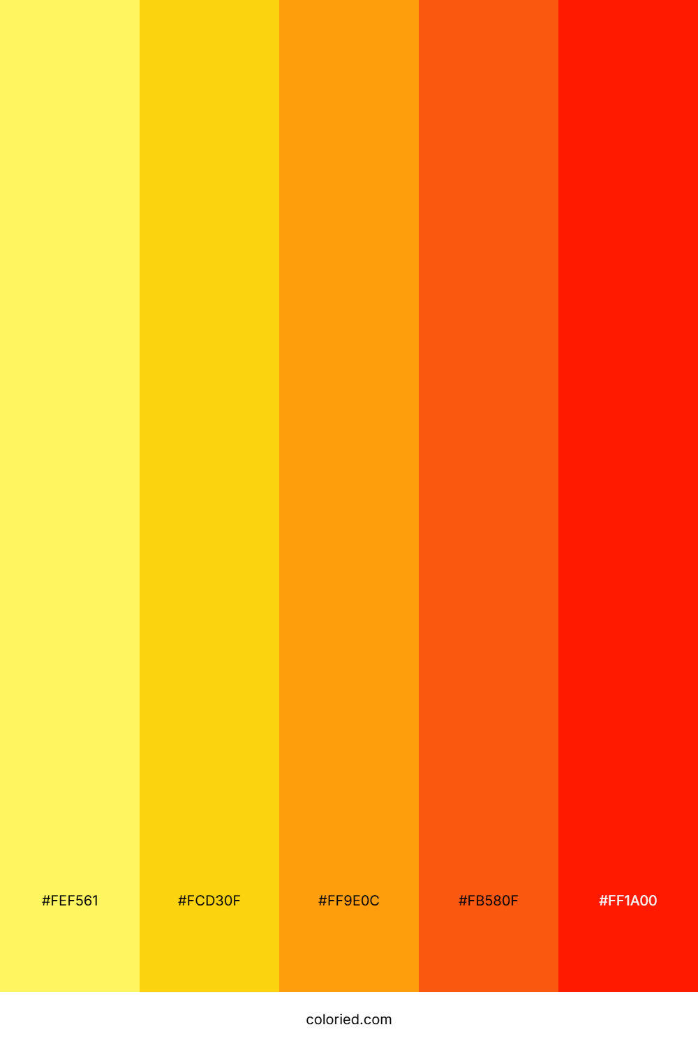 Golden And Tangerine Color Palette