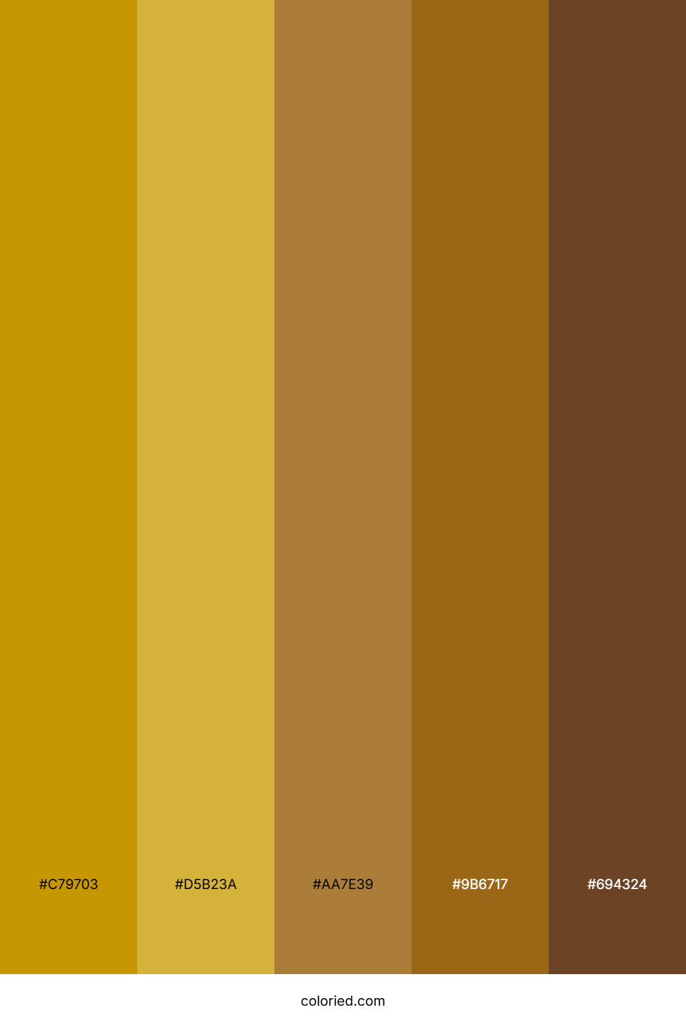 Golden Brown and Dark Gold Color Palette