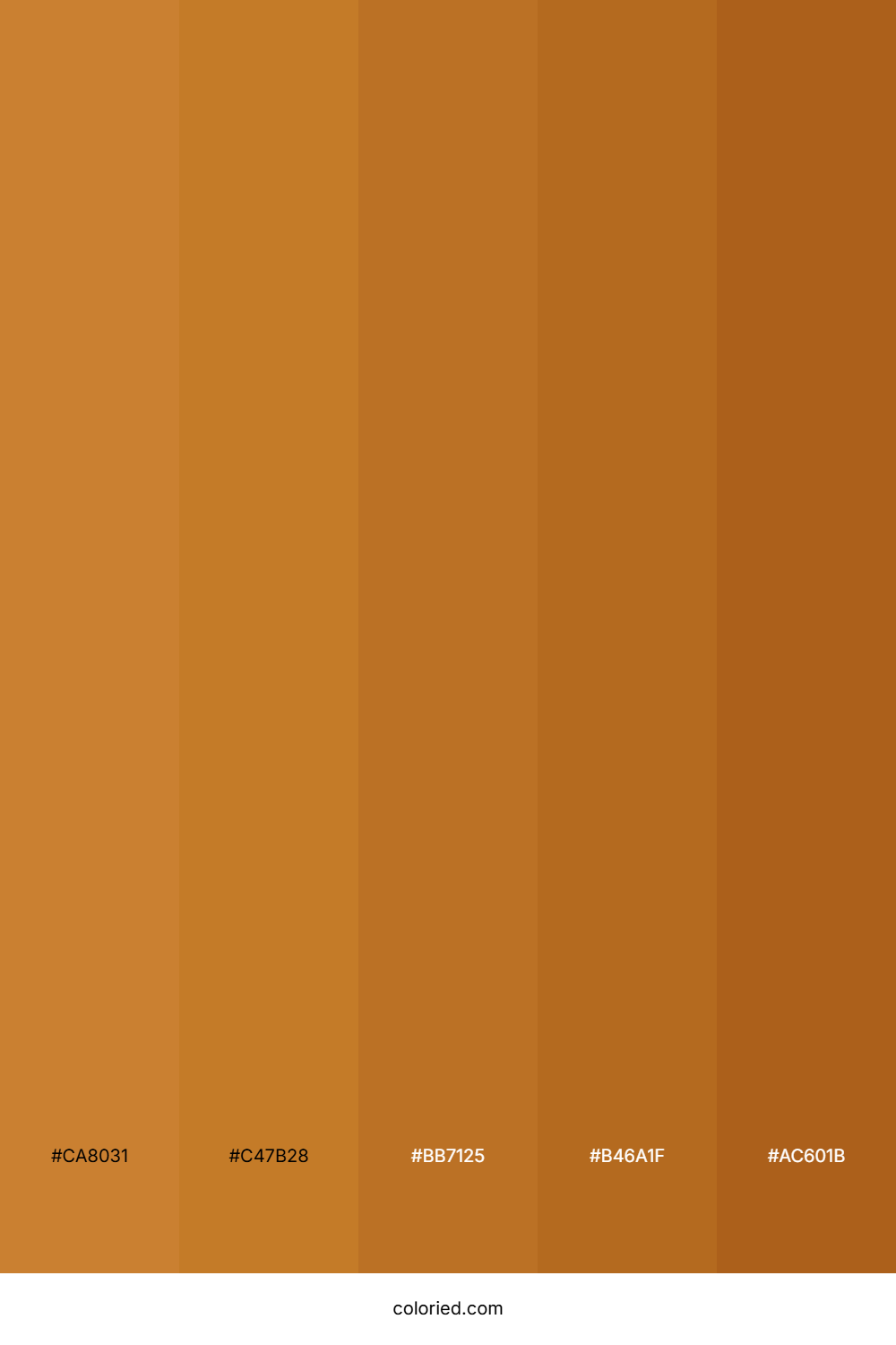 Golden Brown and Rustic Brown Color Palette
