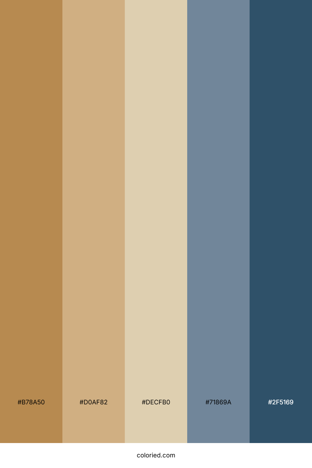 Golden Brown and Slate Color Palette