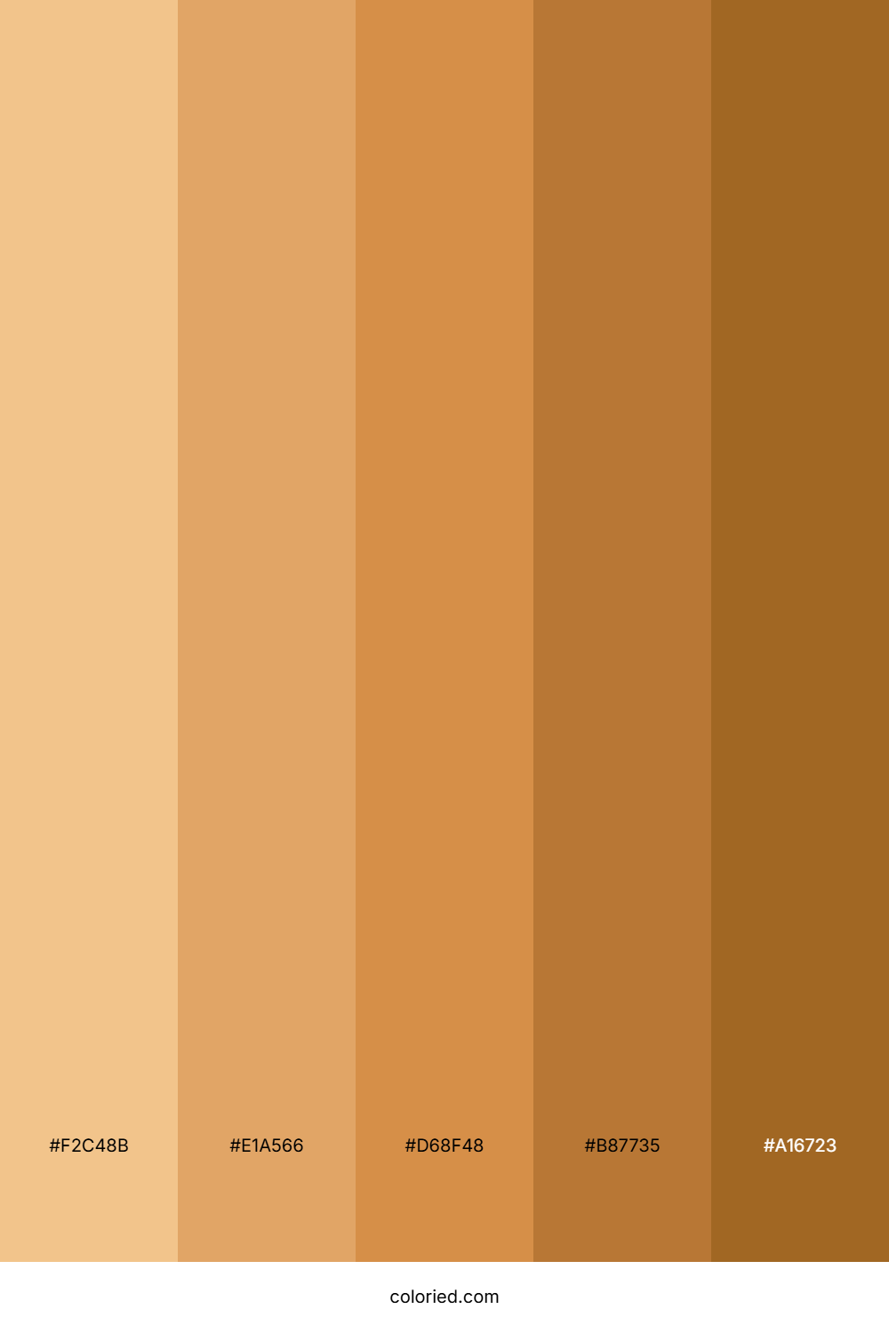 Golden Caramel Spice Palette