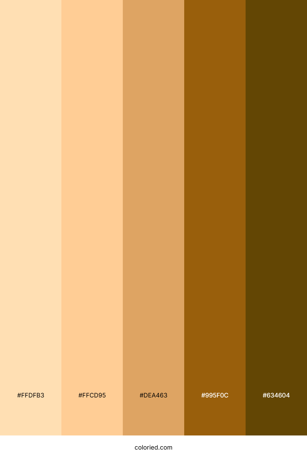 Golden Honey Tan Color Palette