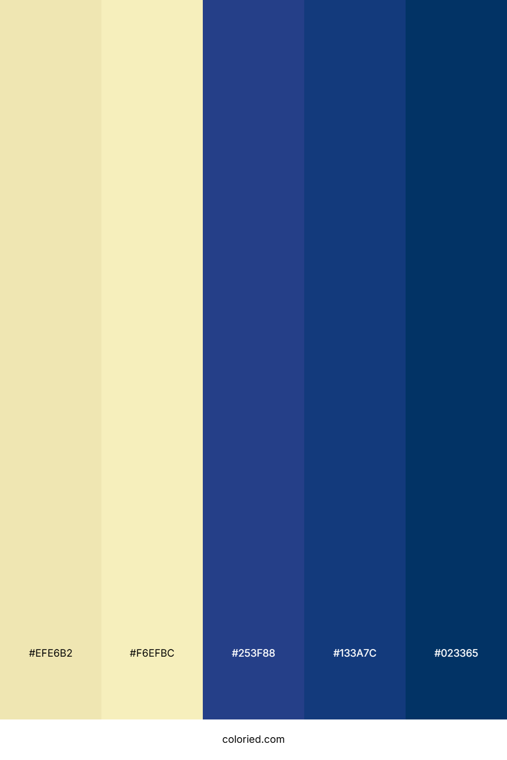 Golden Horizon Night Palette