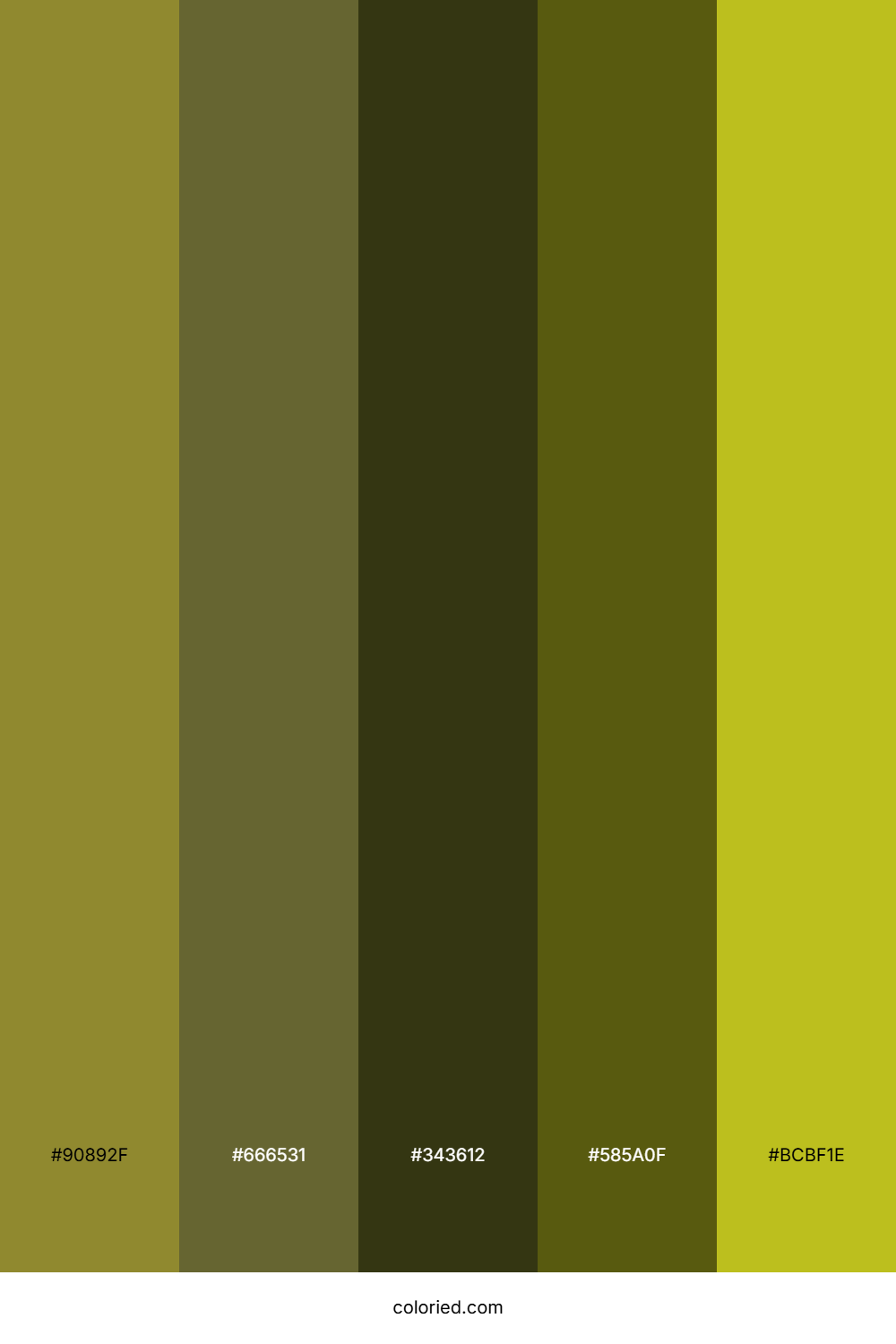 Golden Marsh Shore Color Palette