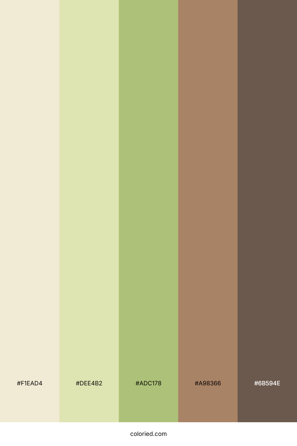 Golden Meadow Drift Color Palette