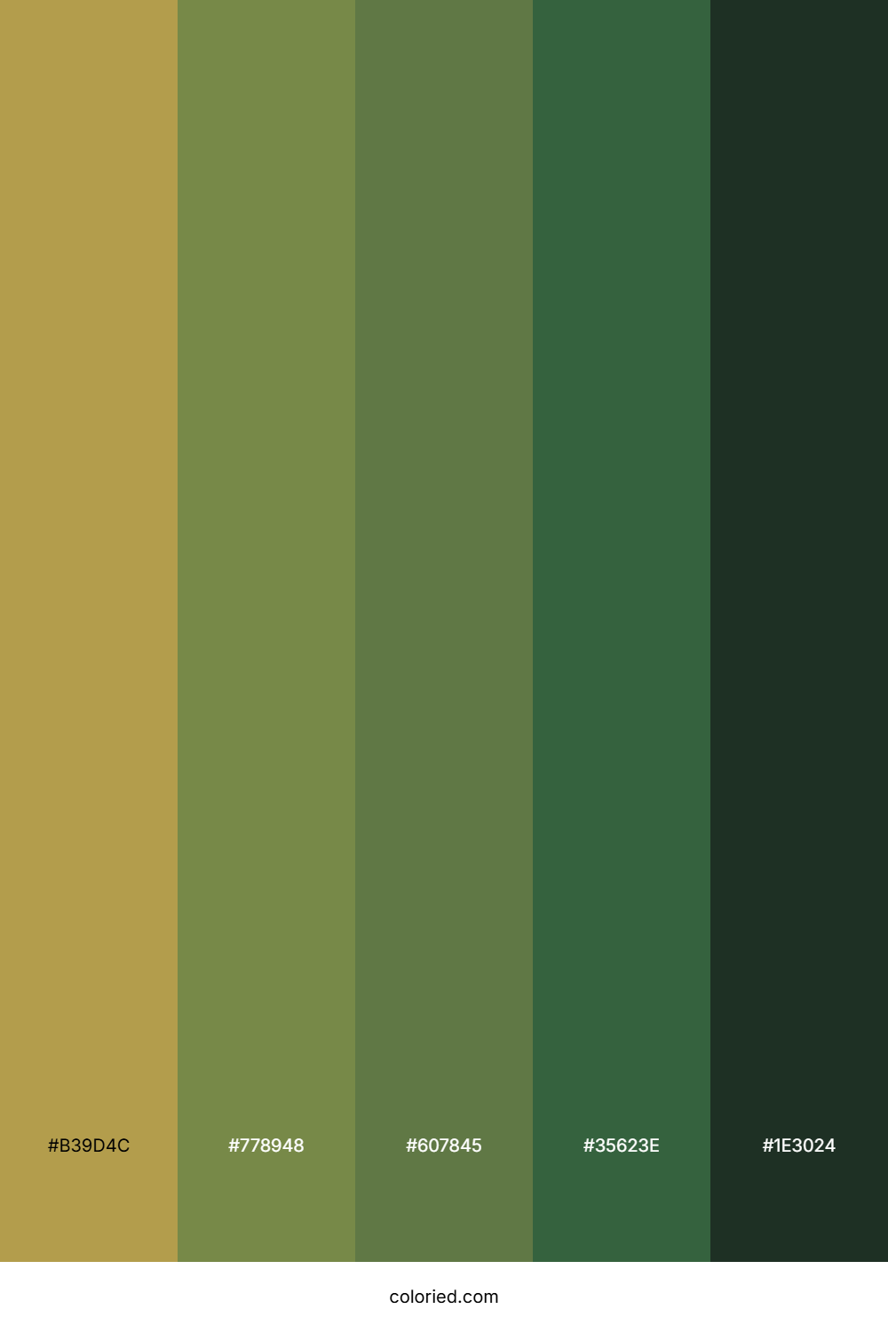 Golden Meadow Grove Color Palette