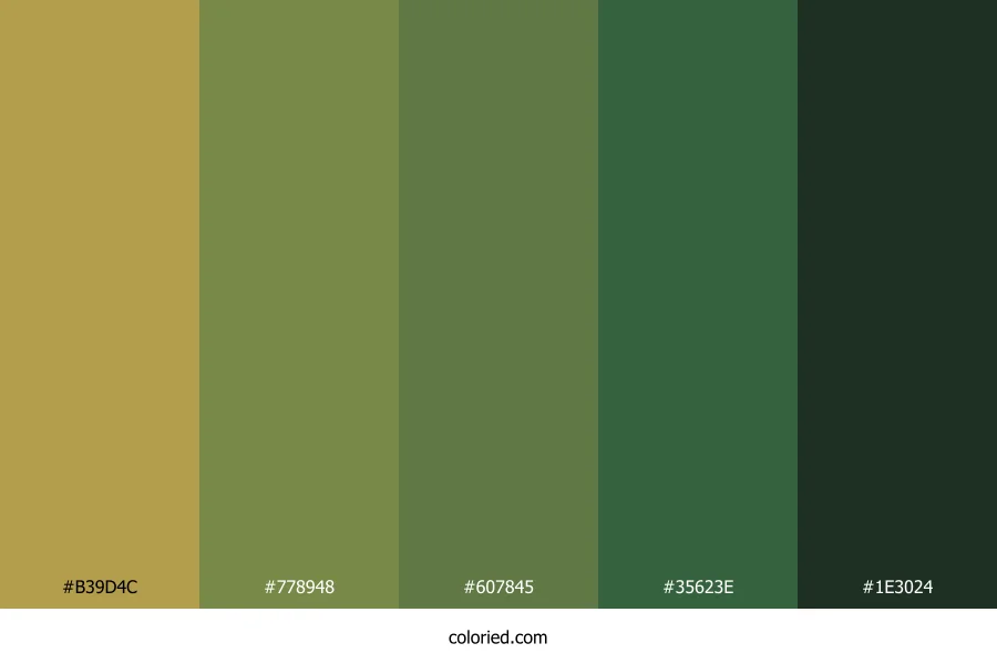 Golden Meadow Grove Color Palette