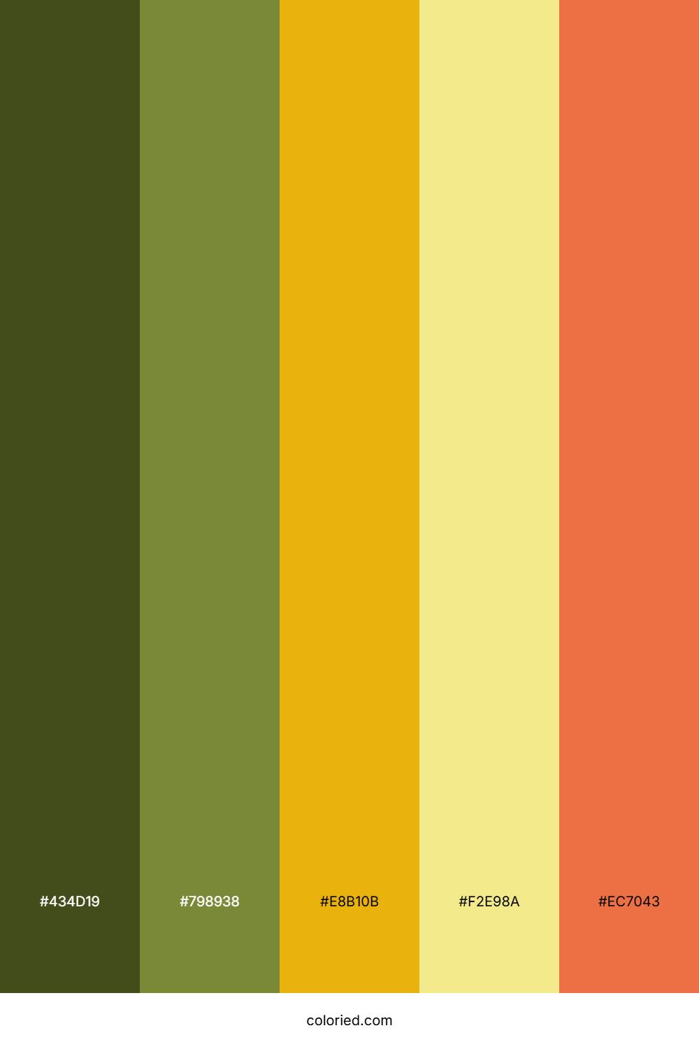 Golden Meadow Horizon Palette