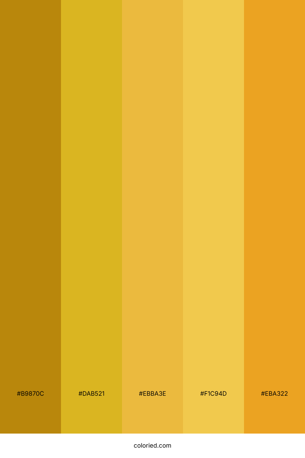 Golden Nova Flare Color Palette