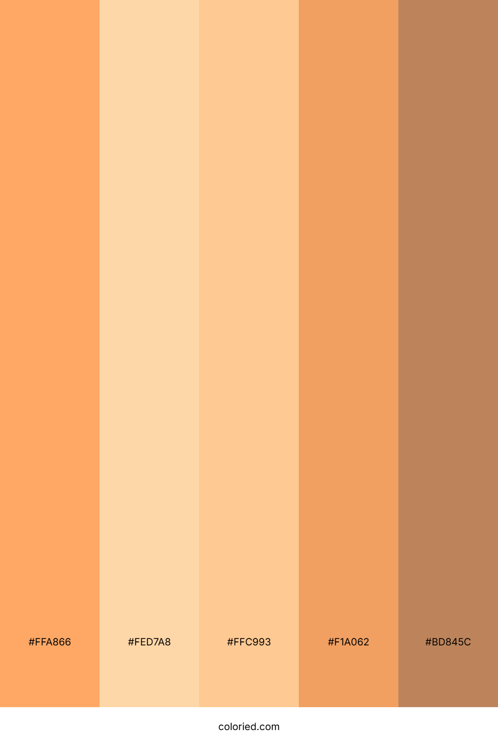 Golden Orange and Pastel Brown Color Palette