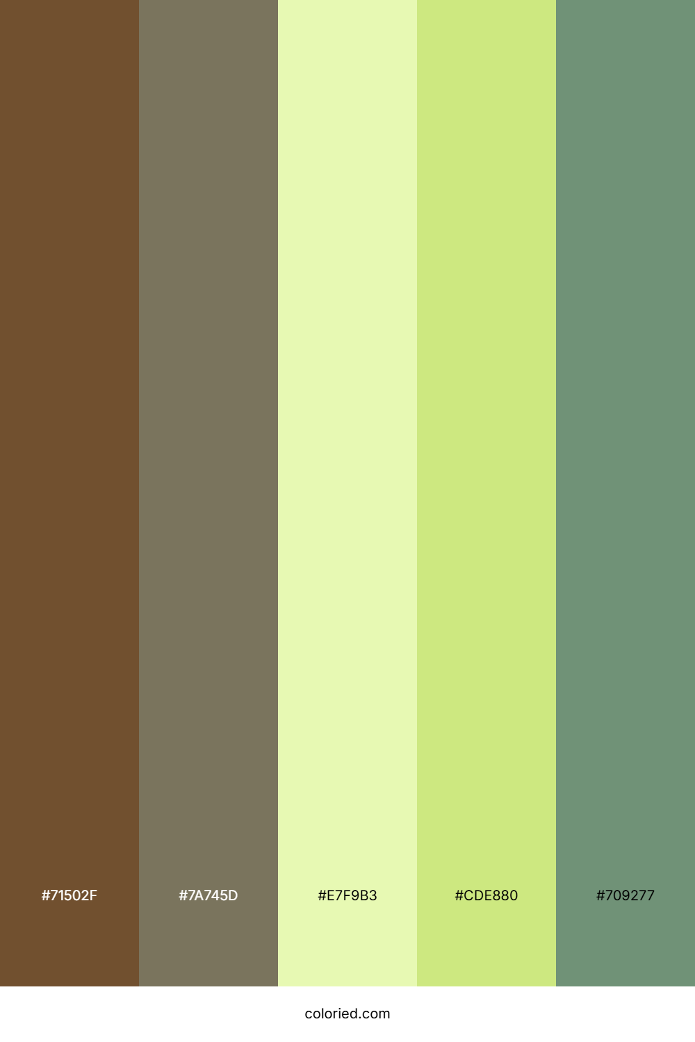 Golden Sage Field Color Palette