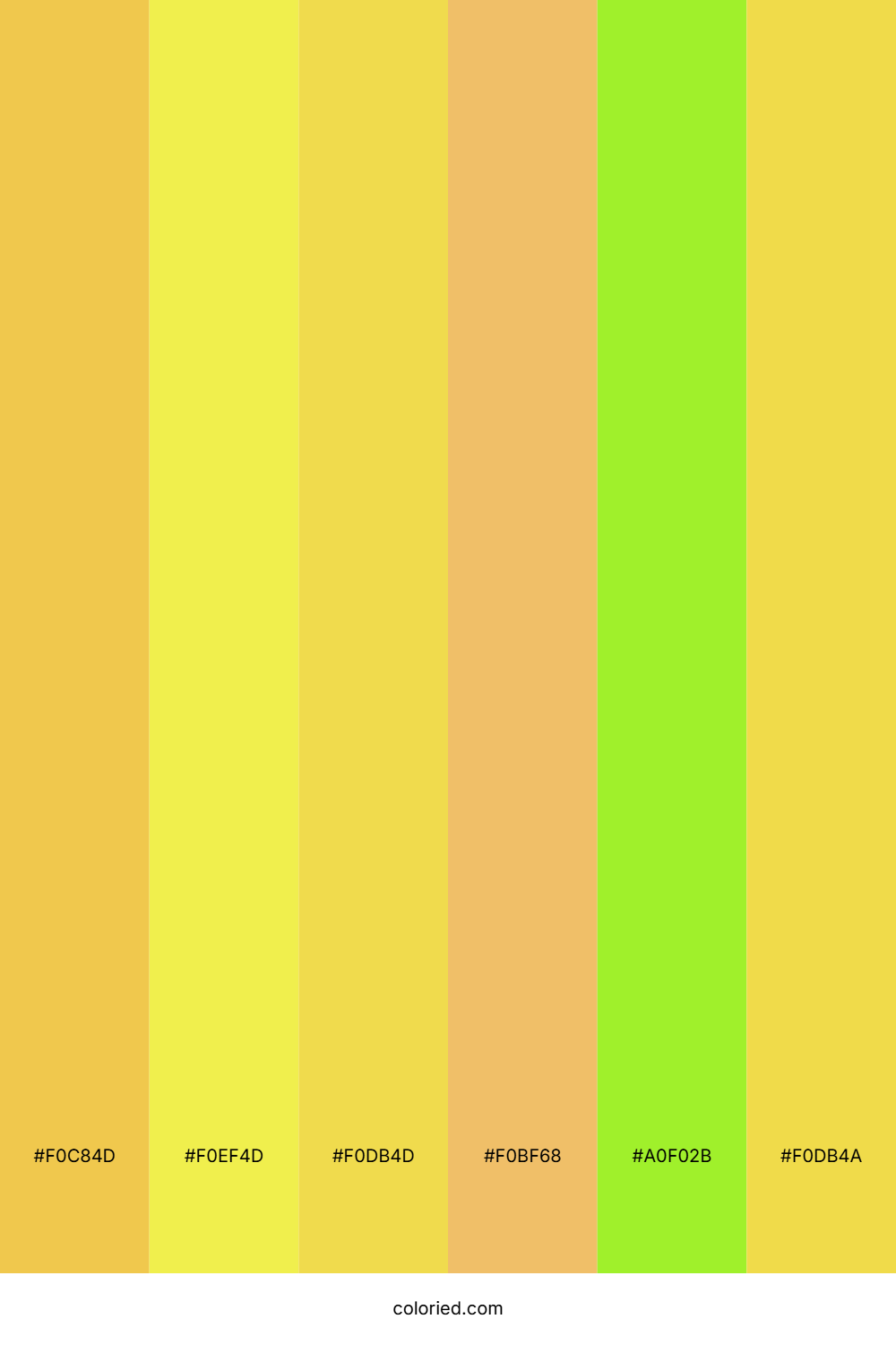 Golden Sun Citrus Color Palette