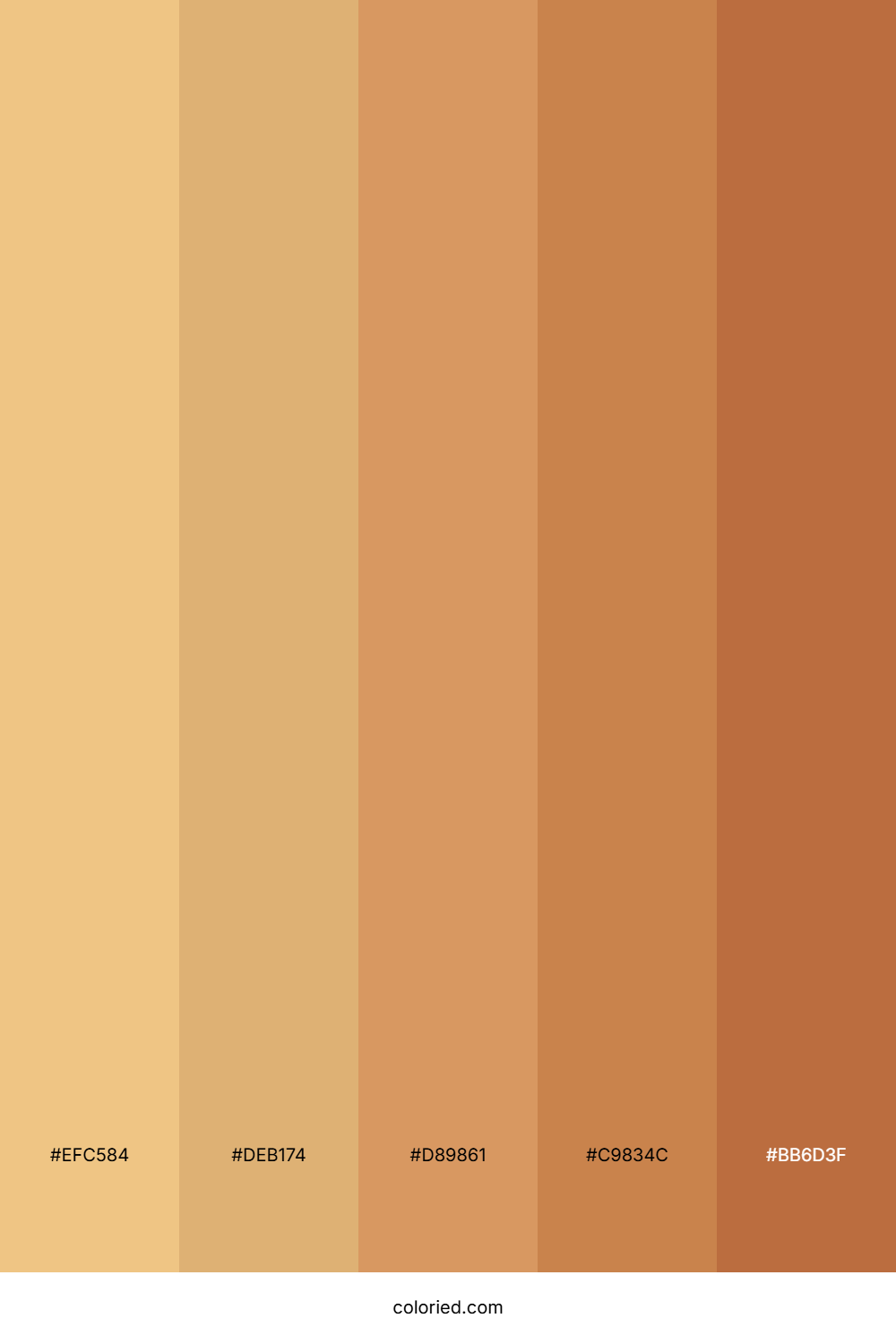 Golden Tan and Brown Color Palette