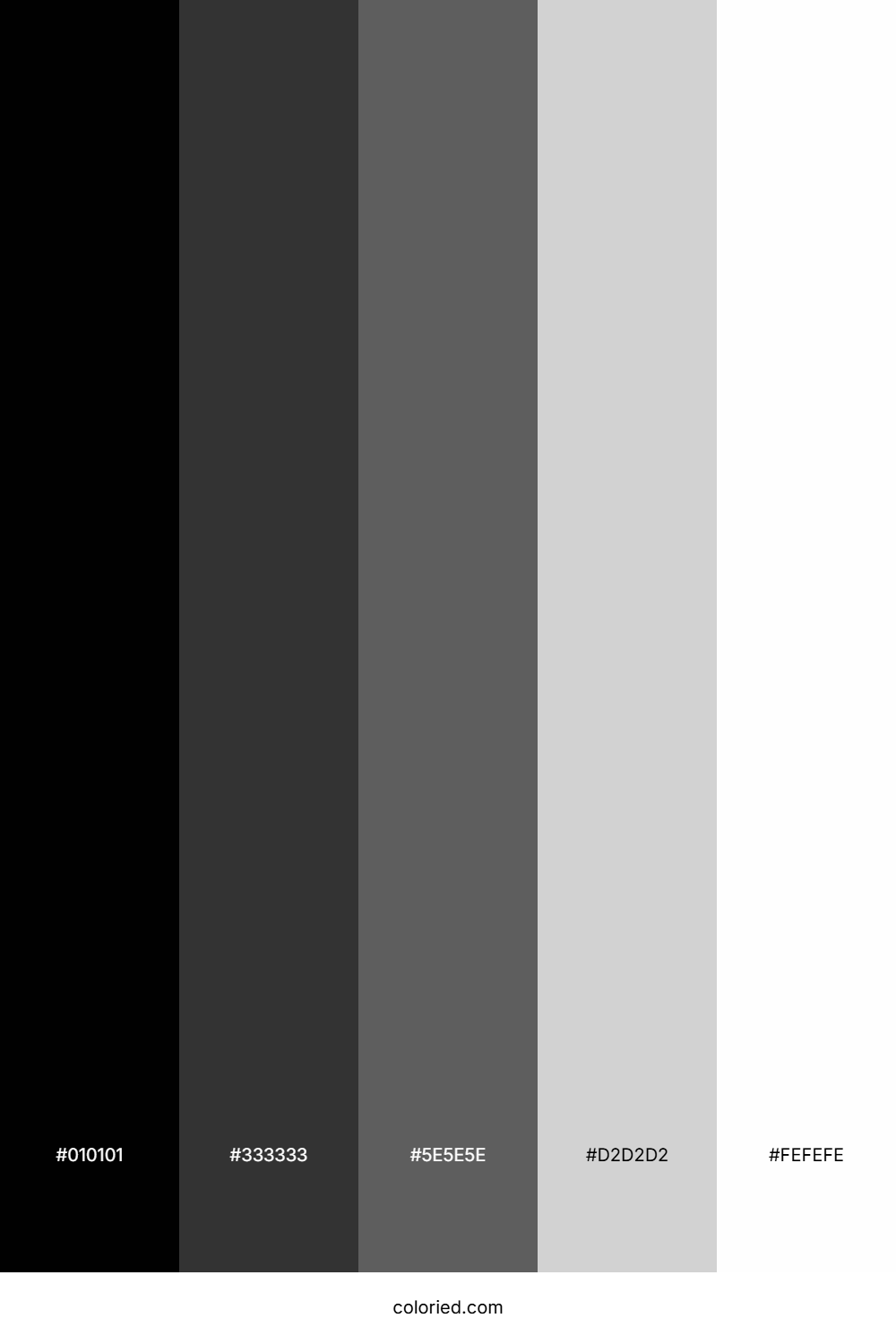 Graphite and Light Gray Color Palette