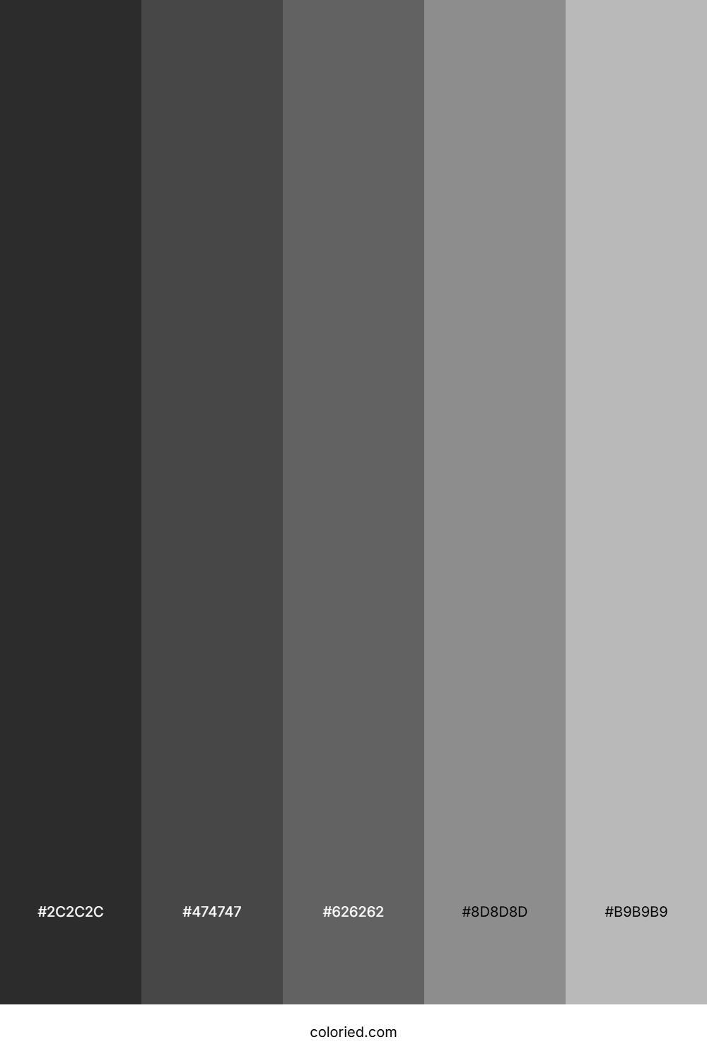 Graphite Grey Color Palette