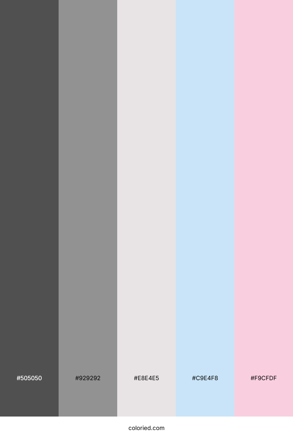 Graphite Sky Blossom Color Palette