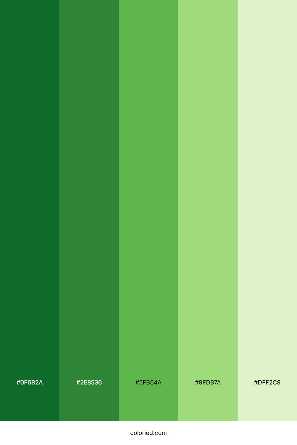 Grass Gradient Color Palette