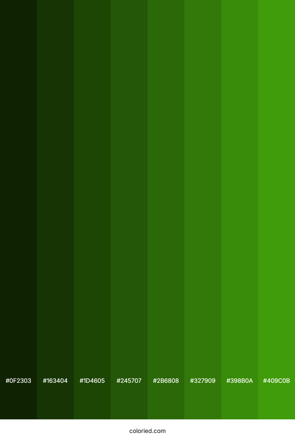 Grass Green Color Shades
