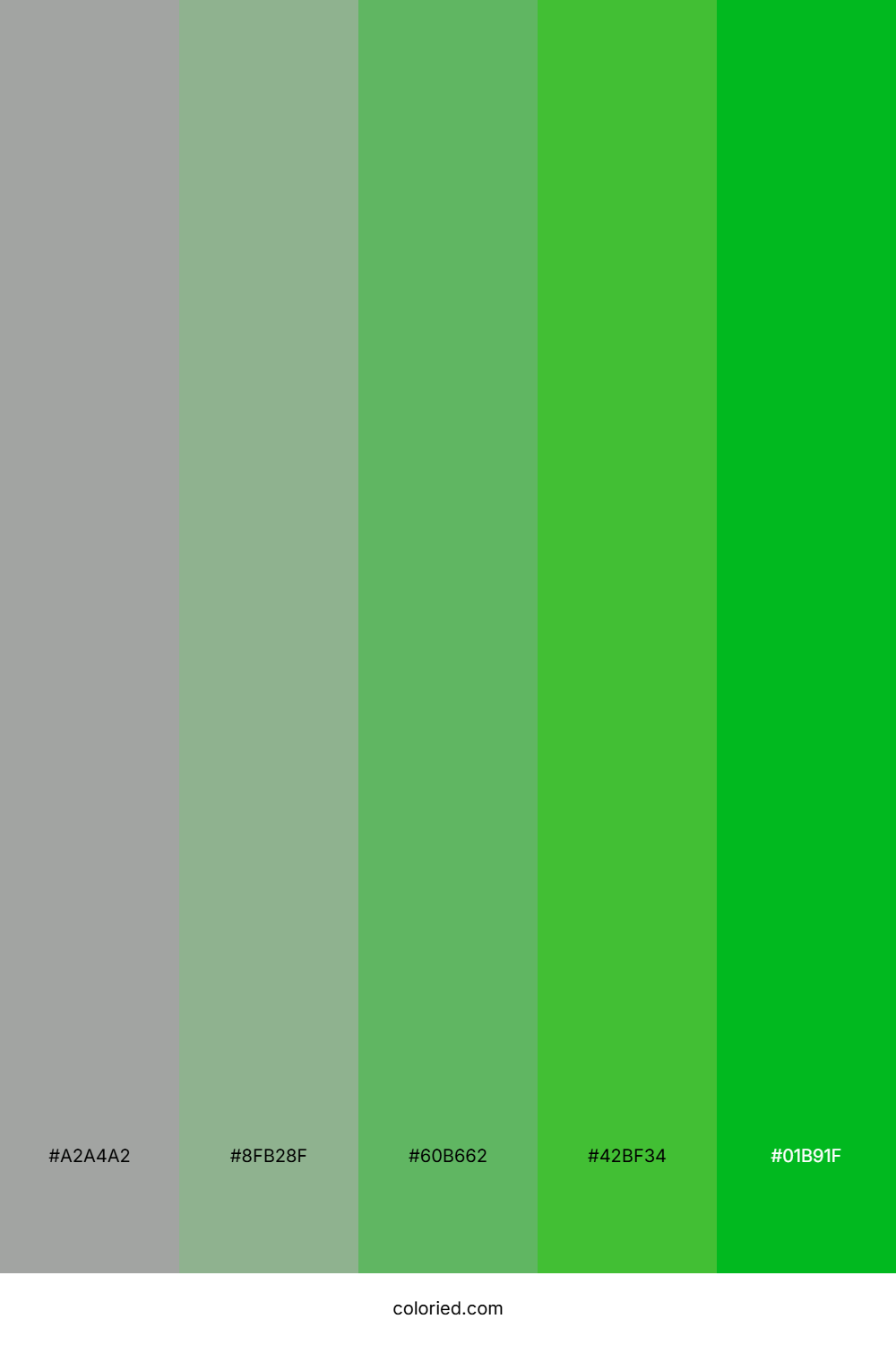 Gray and Green Color Palette