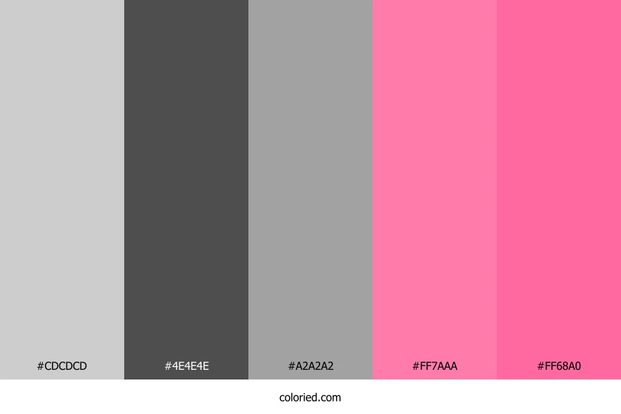 Gray and Hot Pink Color Palette