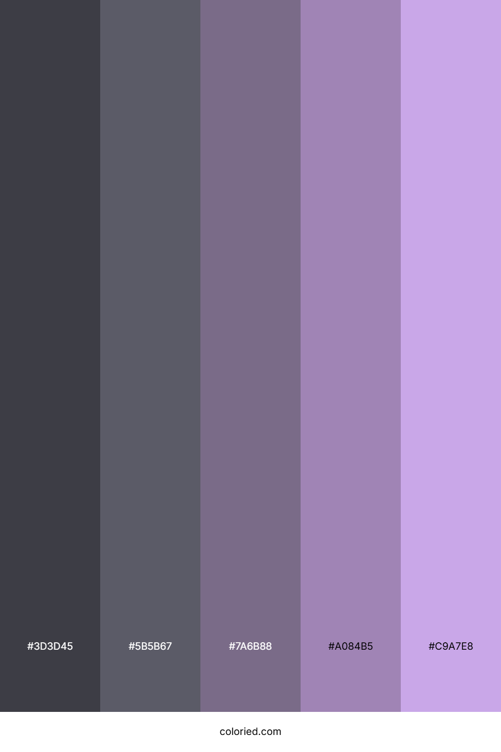 Gray and Purple Color Palette