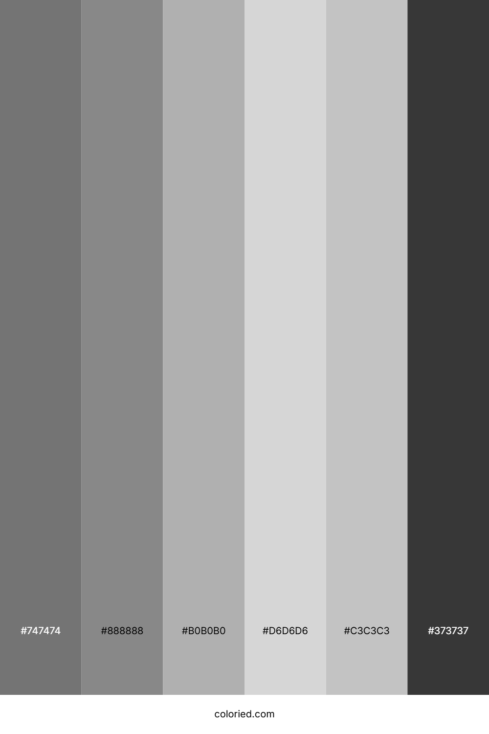 Gray and Silver Color Palette