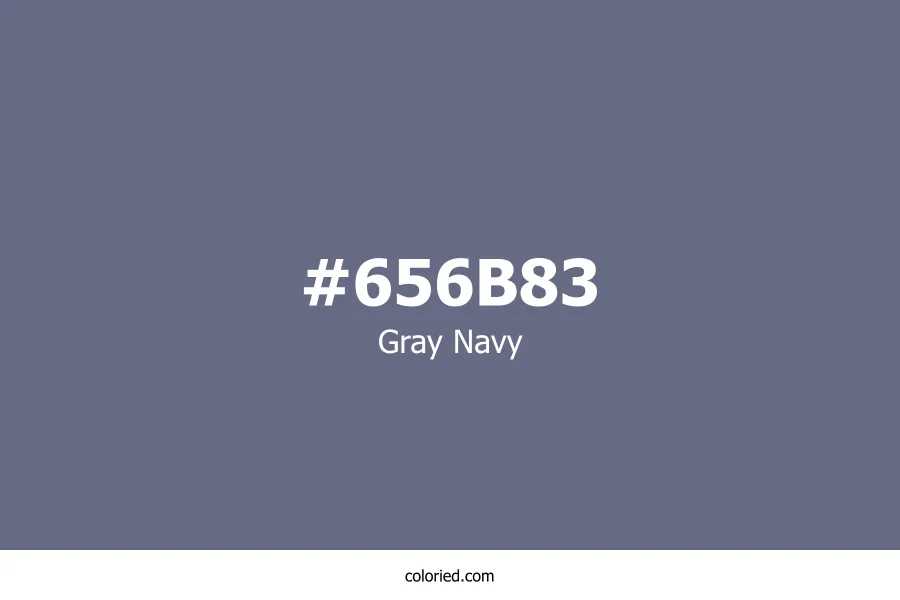 Gray Navy Color