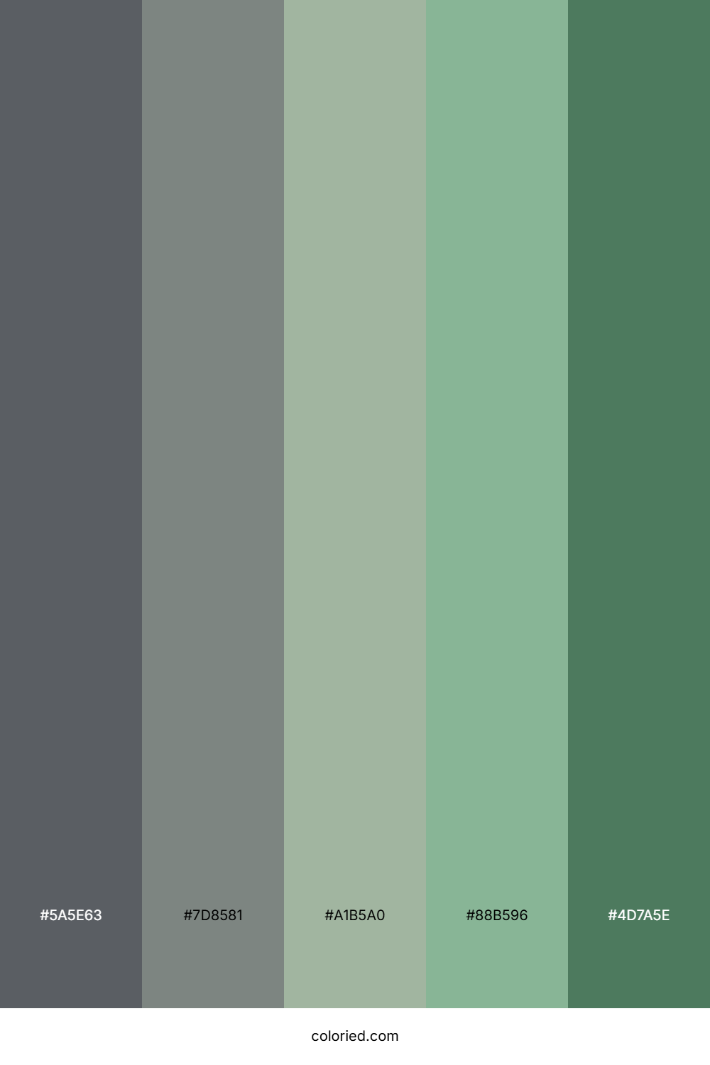 Gray to Green Color Palette