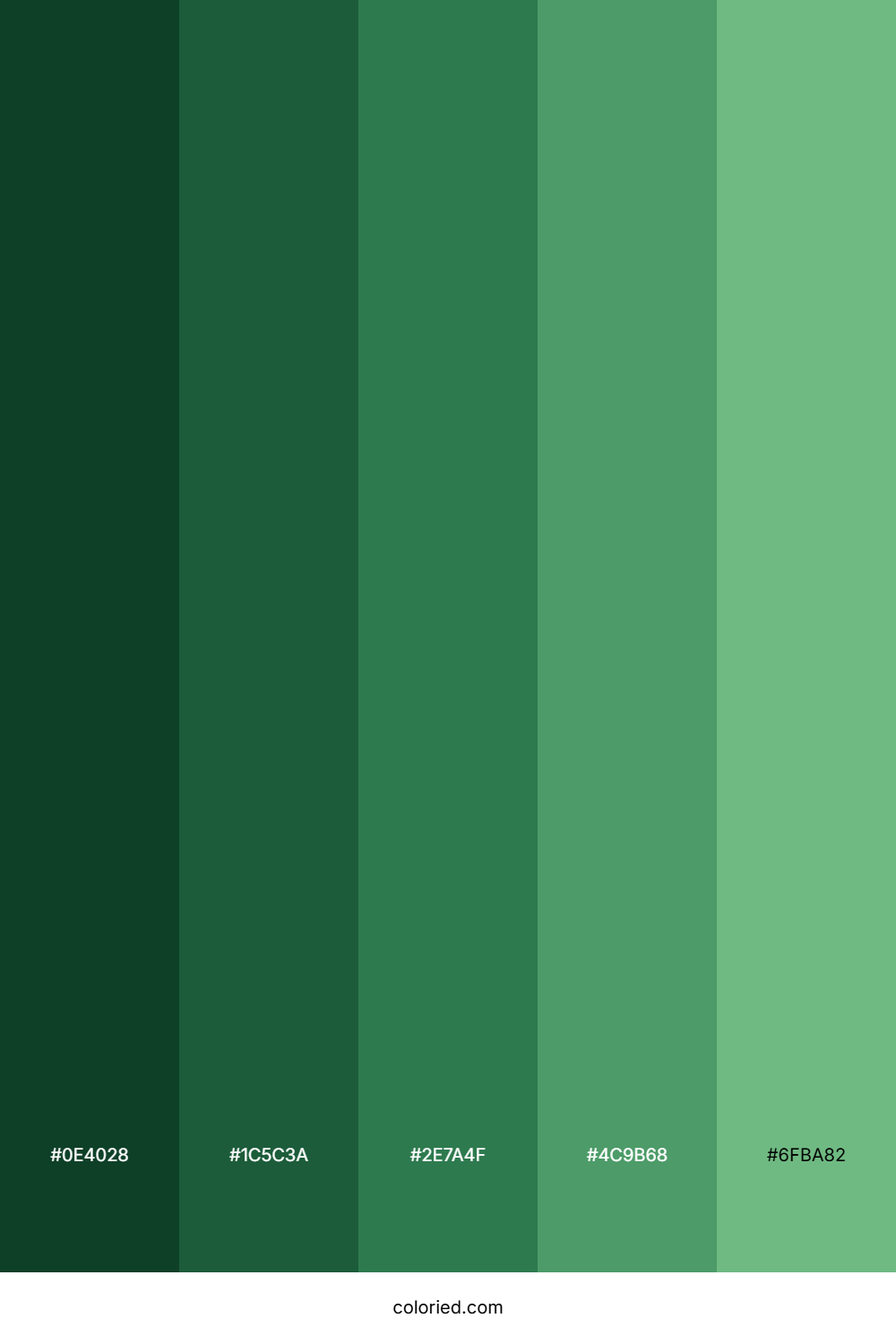 Green Aesthetic Color Palette