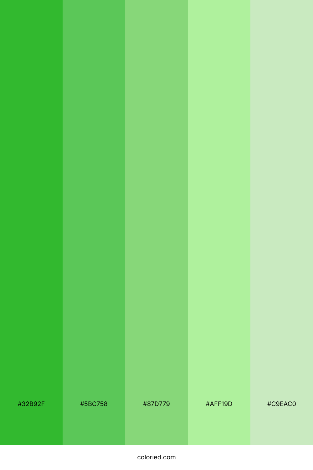Green and Light Green Gradient Color Palette