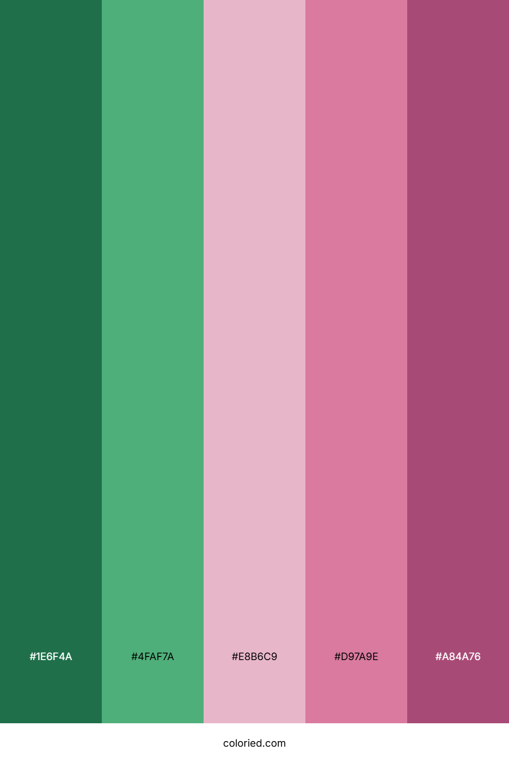 Green and Pink Color Palette