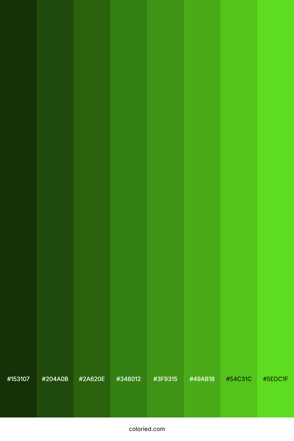 Green Apple Color Shades