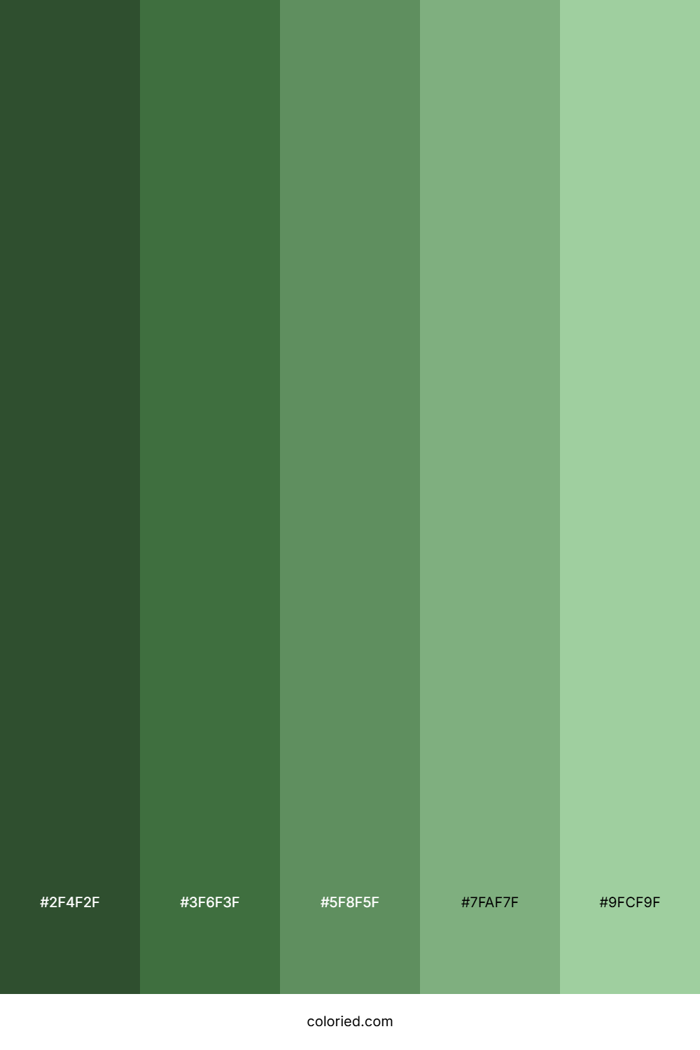 Green Grunge Color Palette