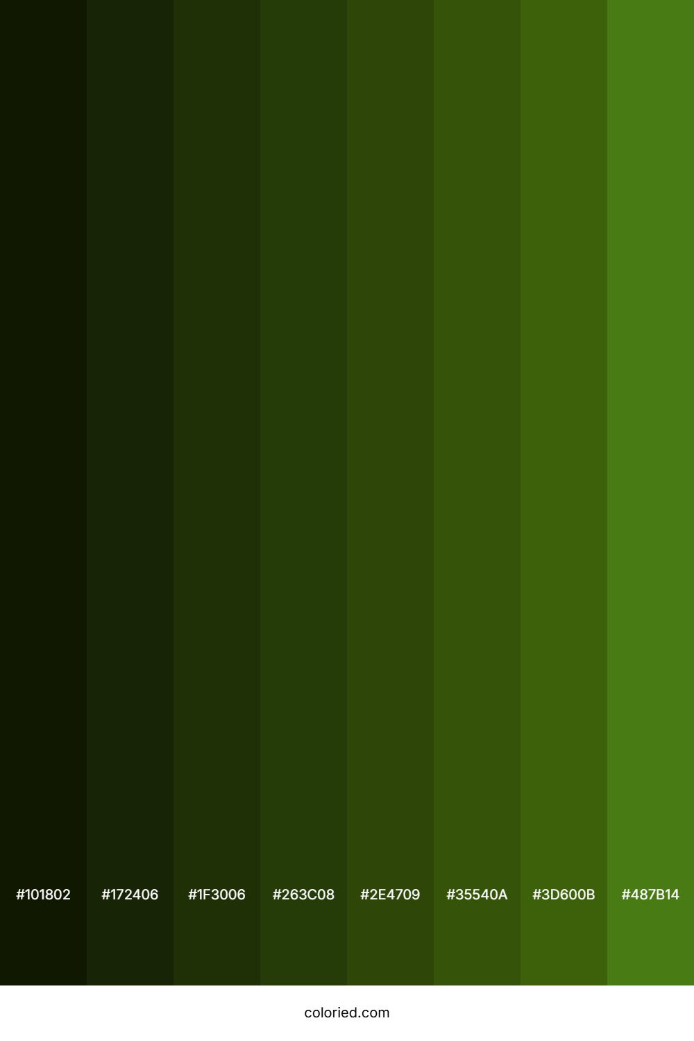 Green Leaf Color Shades