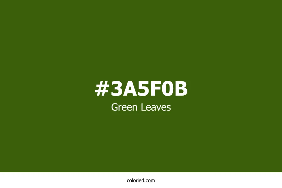 Green Leaves Color