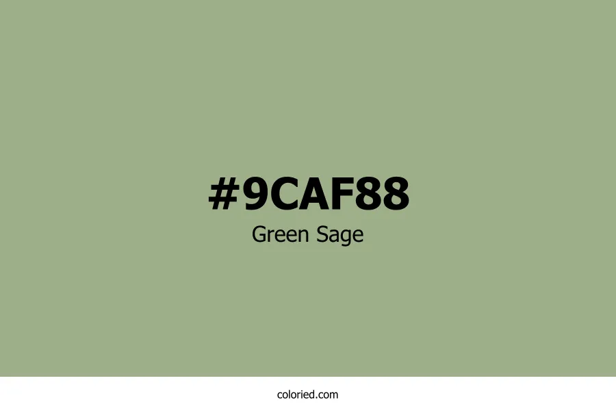 Green Sage Color Hex Code