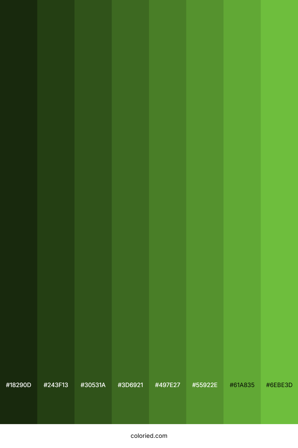 Green Snake Color Shades