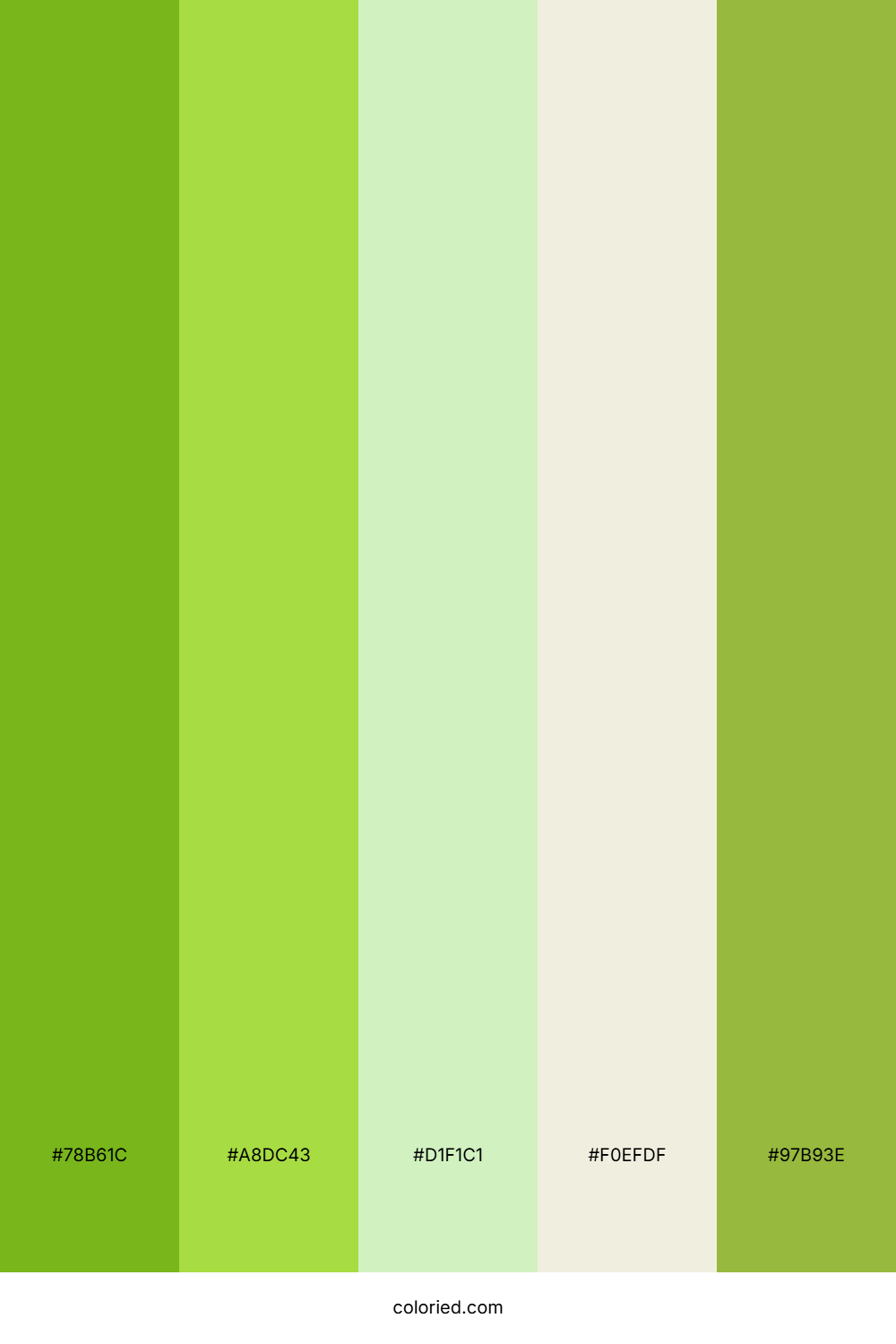 Green Tea And Lime Color Palette